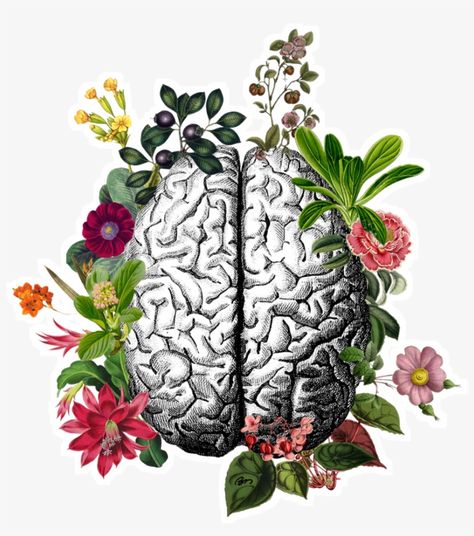 Brain Painting, Brain Tattoo, Brain Illustration, Biology Art, Brain Art, Human Anatomy Art, Medical Art, Gcse Art, Human Brain