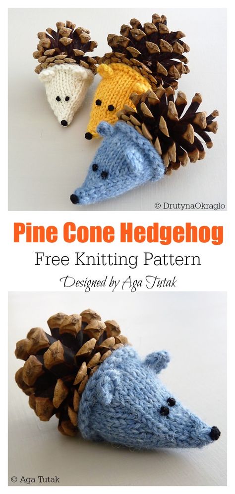 Pine Cone Hedgehog Free Knitting Pattern Pine Cone Hedgehog, Tea Cozy Pattern, Knitting Projects Free, Christmas Knitting Patterns Free, Knitting Patterns Toys, Cones Crafts, Knitting Blogs, Pine Cone Crafts, Christmas Knitting Patterns