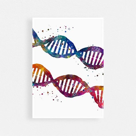 "DNA Watercolor Art Print, Watercolor DNA Art Print, Science Poster, Genetics poster  Each print uses Epson 8 color UltraChrome Pigment Inks, which are tested and guaranteed not to fade for at least 100+ years on a Art Paper 230g/m2 - highest class TEXTURED photo paper or Cotton Canvas 360g/m2.  Please note that the colors you see on your monitor may differ slightly from the real colors of the print. The prints are neatly packed in a cardboard tube. Frame not included For canvas print - not included stretcher bars All of our prints are sold UNFRAMED. The frames are only shown for display purposes, to give you an idea of how the print can look when framed. You should READ the shop policies and listing description (especially paper, dimensions and period for delivery) thoroughly, before plac Science Related Art, Genetics Poster, Dna Watercolor, Dna Art, Paint Night, Sticker Ideas, Art Drawings Sketches Creative, Cardboard Tube, Science Art