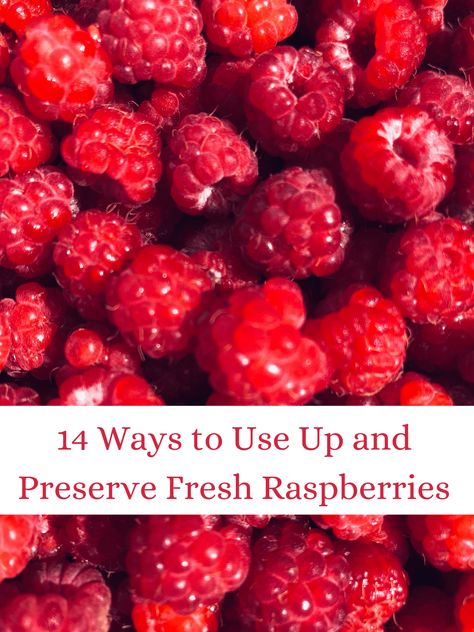 14 Ways to Use Up and Preserve Fresh Raspberries - One Hundred Dollars a Month Ways To Preserve Raspberries, What Can I Do With Fresh Raspberries, How To Preserve Raspberries, Canning Raspberries Recipes, Recipes For Fresh Raspberries, What To Make With Fresh Raspberries, What To Do With Fresh Raspberries, Fresh Raspberries Recipes, Preserving Raspberries