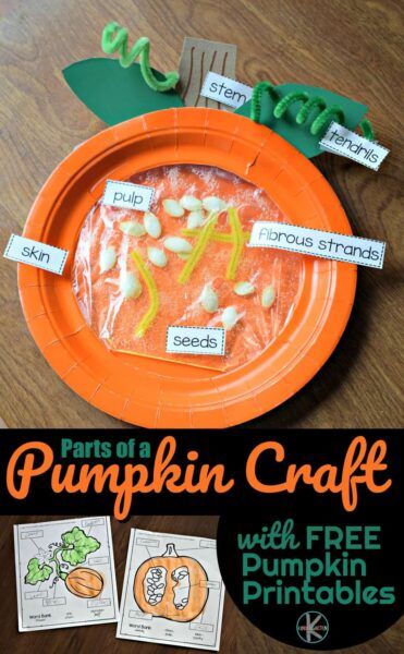 🍂 Why do Leaves Change Color Experiment for Kids Pumpkin Craft Kindergarten, Pumpkin Parts, Pumpkin Science Experiment, Pumpkin Lessons, Pumpkins Preschool, Pumpkin Science, Shape Matching Game, Parts Of A Pumpkin, Fall Science