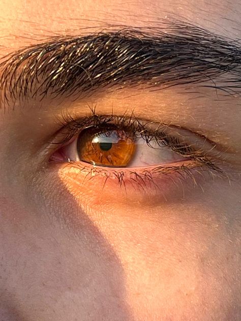 Men With Brown Hair And Brown Eyes, Honey Eyes Men, Brown Eyes Aesthetic Male, Light Brown Eyes Men, Honey Eyes Aesthetic, Honey Brown Eyes Aesthetic, Brown Eyes Guy, Brown Eyes Men, Brown Eyes Boy