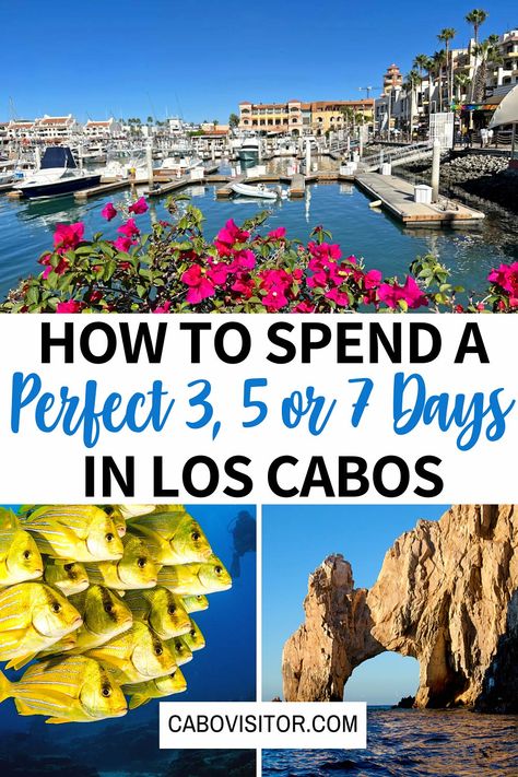 Cabo San Lucas Marina, Cabo In November, Secrets Los Cabos Mexico, Packing List For Cabo San Lucas Mexico, Things To Do In Los Cabos Mexico, Cabo San Lucas Travel Guide, Cabo Birthday Trip, Cabo San Lucas Itinerary, Cabo San Lucas Family Vacation