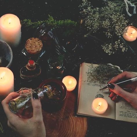 Kassidy Core, Jasper Core, Cottagecore Witch Aesthetic, Forest Witch Aesthetic, Green Witch Aesthetic, Ideal Aesthetic, Oc Aesthetic, Witch Aesthetic, Practical Magic