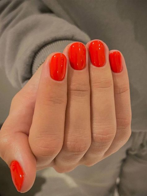 Vacation Nail Colors, Types Of Nails Shapes, Gel French Manicure, Kadeřnické Trendy, Squoval Nails, Nails Trends, Vacation Nails, Nails Red, Round Nails