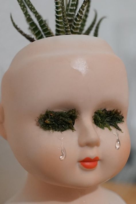 Doll Head Planter, Planter Diy, Head Planters, From Tiktok, Diy Funny, Program Ideas, Diy Planters, Doll Head, Nostril Hoop Ring