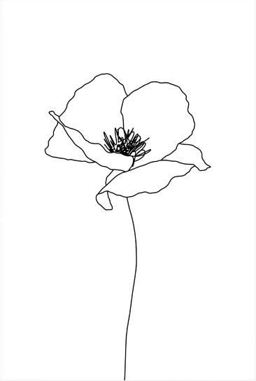 Magnolia Line Drawing Tattoo, Poppie Flower Drawing, Poppies Line Art, Line Art Poppy Flower, One Line Poppy Drawing, Poppies Drawing Simple, Minimalist Flowers Drawing, Poppy Line Drawing Tattoo Ideas, Poppy Fine Line Drawing