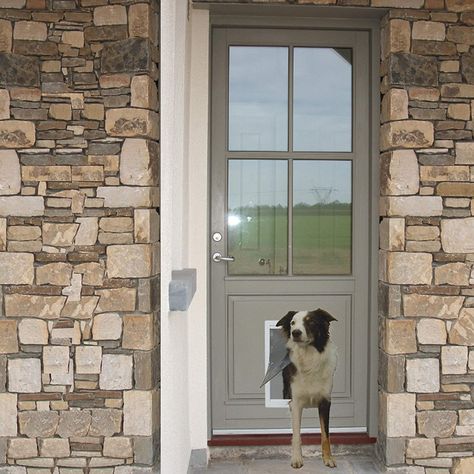 Dog door mat