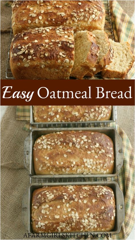 Oatmeal Bread Recipe, Oat Bread Recipe, The Perfect Sandwich, Honey Oat Bread, Perfect Sandwich, Homemade Oatmeal, Oatmeal Bread, Sandwich Bread Recipes, Protein Bread