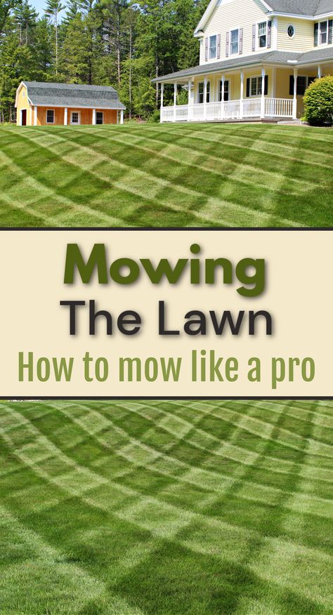 lawn mowing stripes in a green lawn Lawn Design Ideas, Lawn Weeds, Lawn Care Schedule, Curb Appeal Garden, No Mow Grass, Lawn Care Business, Growing Grass, Weeds In Lawn, Lawn Care Tips