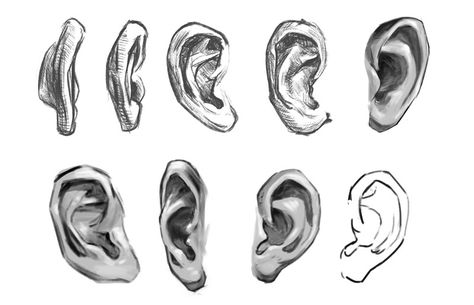 How To Shade Ears, Ear Study Drawing, Human Ears Drawing, Ear Front View, Manga Ears, Ear Drawing Reference, Ear Drawings, Draw Ear, Ear Sketch