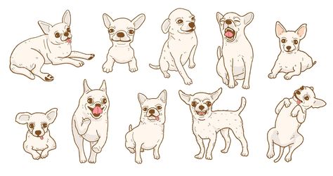 Premium Vector | Cartoon chihuahua dog illustration set Cartoon Chihuahua, Chihuahua Drawing, Premium Vector Cartoon, Chihuahua Art, Dog Comics, Color Pencil Illustration, Dog Poses, Cute Chihuahua, Book Illustration Art