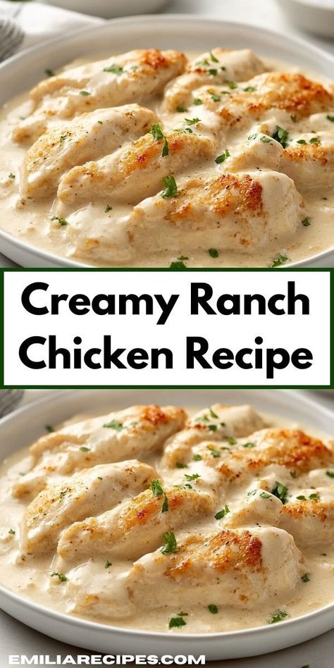 Craving a comforting meal that everyone will love? Discover this Creamy Ranch Chicken Recipe, featuring tender chicken smothered in rich ranch sauce, perfect for family gatherings or cozy dinners at home. Pierogi Casserole With Kielbasa, Crockpot Pierogi Casserole, Chicken Crescent Bake, Creamy Ranch Chicken Recipe, Ranch Chicken Recipe, Ranch Chicken Crockpot, Creamy Ranch Chicken, Crescent Bake, Baked Ranch Chicken