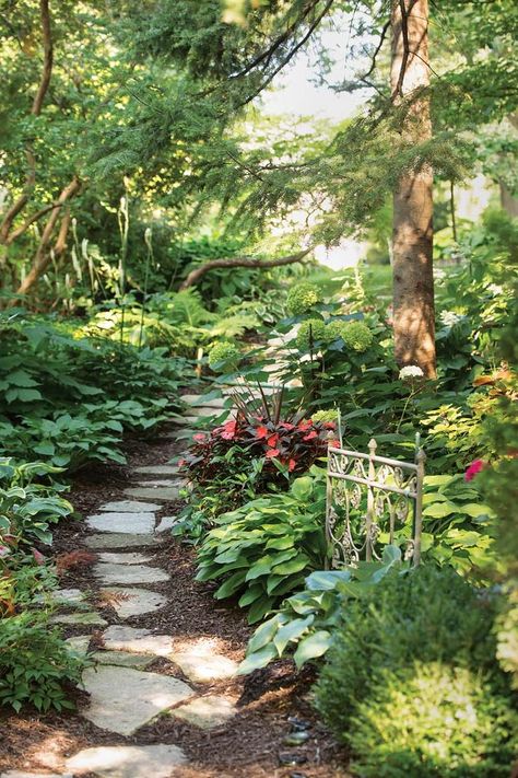 Woodsy Patio Ideas, Backyard Native Garden, Midwest Gardens Landscapes, Pnw Natural Landscaping, American Garden Design, Pennsylvania Garden Ideas, Magical Small Garden, Minnesota Native Plants Landscapes, Forest Landscaping Ideas