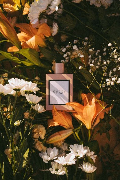 Gucci Bloom photography by Nuria Val #product #photography #productstyling #perfume #fragrance #scent #beauty #floral Gucci Perfume, Gucci Bloom, Tanaman Indoor, Creative Advertising Photography, Fragrance Photography, Fotografi Kota, Perfume Photography, Photography Themes, Study Board