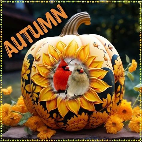 Anything Cardinals | Have an enjoyable Sunday everyone 🍁🍂🌻🍂🍁 | Facebook Sunflower Painted Pumpkin, Pumpkin Pics, Halloween Sunflower, Pumpkin Diorama, Creative Pumpkin Painting, Sunflower Artwork, Halloween Pumpkin Carving, Sunflower Pumpkin, Pumpkin Decorating Contest