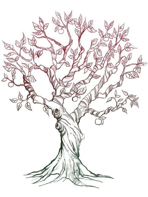 Apple Tree Tattoo, Apple Tree Drawing, Tree Branch Tattoo, Family Tree Tattoo, Tree Tattoo Designs, Tree Sketches, Tree Of Life Tattoo, Tree Images, Desenho Tattoo