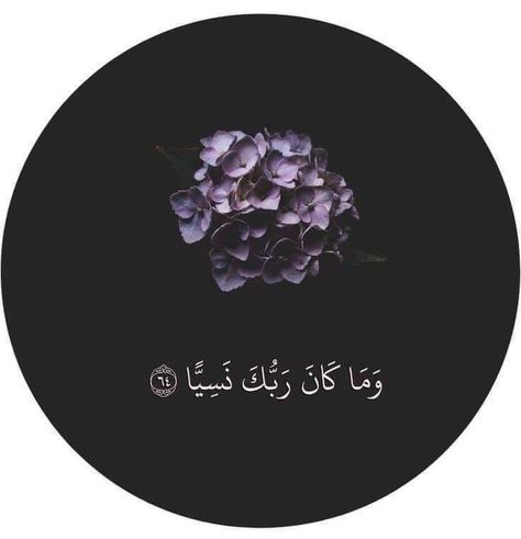 Instagram Profile Picture Islam, Best Islamic Dp For Instagram, Profile Picture Whatsapp Image, Beautiful Profile Pictures For Whatsapp, Best Dpz For Instagram, Islamic Dp For Instagram, Beautiful Dpz For Whatsapp, Muslim Profile Picture, Aesthetic Whatsapp Dp