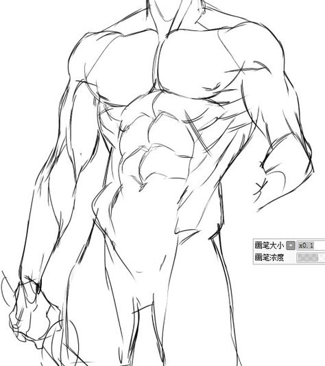 남성 근육, Male Body Drawing, Male Art Reference, Man Anatomy, Male Pose Reference, Human Anatomy Drawing, Body Sketches, Human Anatomy Art, Anatomy Sketches