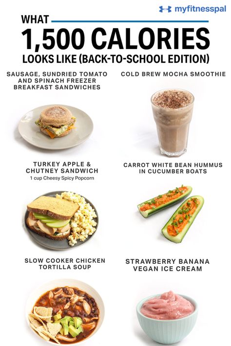 Back-to-School Meal Prepping! This sample #1500calories meal plan features quick and easy meals you (and your kids) will love. The key to eating healthy during busy times is working with balanced recipes — meals you can make over the weekend, throw into a slow cooker, pack the night before or blend together in less than a minute. #MyFitnessPal #1500CalorieDay #mealplanning #mealprep #backtoschool #afterschoolsnacks #lunchrecipes #healthysnacks #healthymeals #easymeals #easyrecipes #weightloss 1500 Calorie Diet, 1500 Calorie Meal Plan, 500 Calorie Meals, Food Recipes Vegetarian, Perfect Diet, Calorie Meal Plan, 500 Calories, Recipes Vegetarian, Lunch Snacks