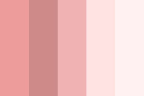 Pink And White Pallete, Rosy Pink Color Palette, Rosy Color Palette, Pink Color Plattes, Soft Pink Color Pallete, Rose Pallete Color, Pink Blush Color Palette, Pink And White Palette, Millennial Pink Color Palette