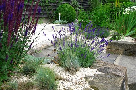 10 Plants That Can Grow in Poor Soil Garden Retaining Wall, Flowering Succulents, Drought Tolerant Garden, Waterwise Garden, Rock Garden Plants, Dry Garden, Gravel Garden, Low Maintenance Garden, Water Wise