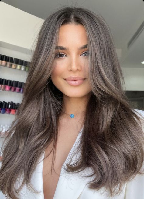 Iced Brunette Hair, Hair Lengths For Thick Hair, Level 7 Hair With Highlights, Cool Hair Tones Brunettes, Ashy Gray Brown Hair, Soft Summer Brunette Hair, Hair Color Ideas Blue Eyes, Light Frosted Brown Hair, Long Ash Brown Hair