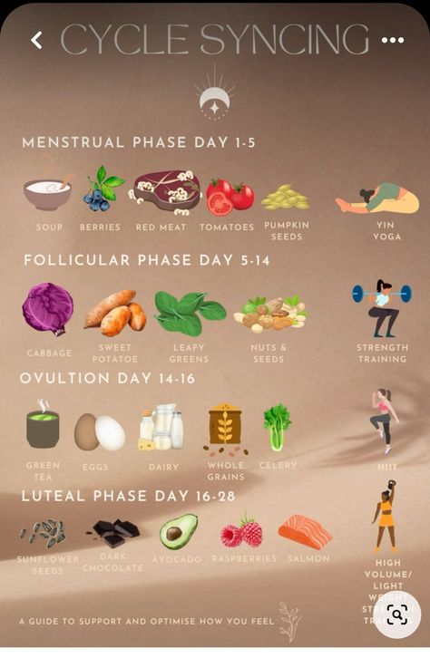 Hormone Nutrition, Cycling Food, Cycle Syncing, Healthy Hormones, Menstrual Health, Feminine Health, Hormone Health, Health Facts, Body Health