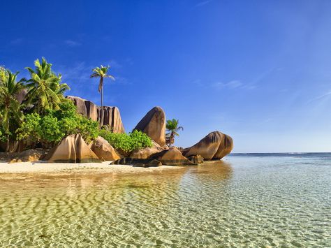 Les Seychelles comme dans un rêve : Les Seychelles, un rêve au bout du monde - Linternaute Seychelles Beach, Seychelles Islands, Beach Wallpaper, Most Beautiful Beaches, Tour Packages, Dream Destinations, Lonely Planet, Tourist Destinations, Seychelles