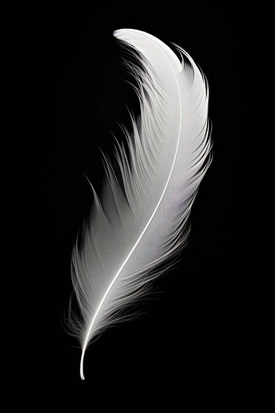 Pictures Of Feathers, Feather Reference, Texture Moodboard, Feathers Aesthetic, Feather Aesthetic, Sin Aesthetic, Feather Art Projects, Feather Png, Lamp Plant