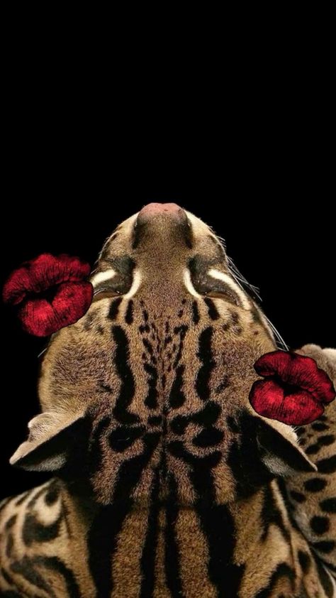 #leopard #kiss #red #dark #darkred #black #aesthetic #lockscreen #wallpaper #fyp #widget 2000s Rnb Aesthetic, Rnb Aesthetic, Glamour Wallpaper, Aesthetic Lockscreen Wallpaper, Cheetah Wallpaper, Aesthetic Lockscreen, Dark Red Wallpaper, Iphone Wallpaper Pattern, Lockscreen Wallpaper