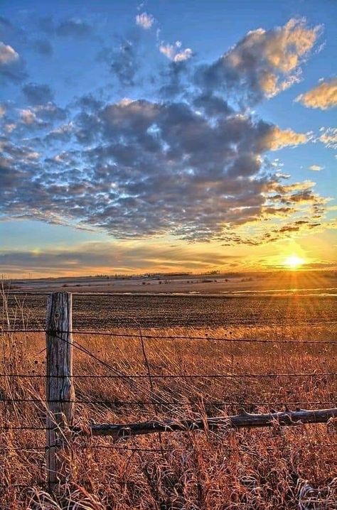 Bonfire Photography, Southern Aesthetic, Country Sunset, Country Backgrounds, Country Photography, Western Photography, Farm Photography, Franklin County, Pretty Landscapes