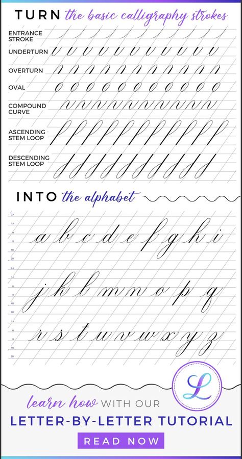 Copperplate Alphabet, Calligraphy For Beginners Worksheets, Calligraphy Alphabet Tutorial, Basic Calligraphy, Calligraphy Writing Styles, Cursive Writing Practice Sheets, Calligraphy Worksheet, English Calligraphy, Hand Lettering Worksheet