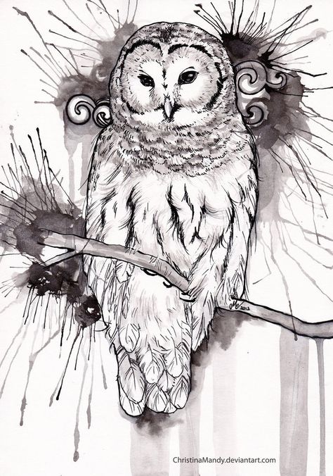 Bard Owl Tattoos, Barred Owl Drawing, Barred Owl Tattoo, Owl Tattoo Ideas, Barred Owls, Deity Worship, Drawing Owl, Owl Sketch, Eagle Drawing