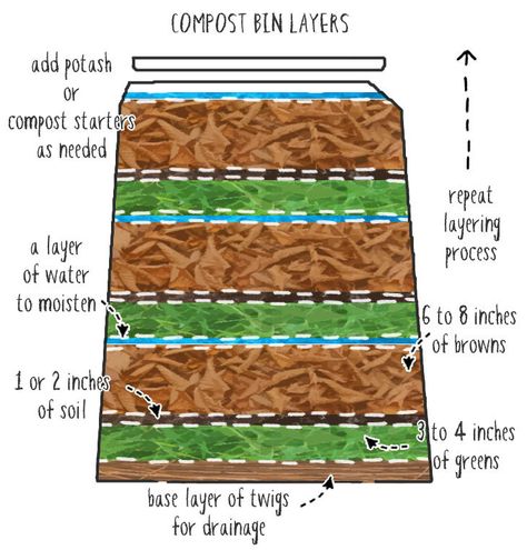 compost-layers-diagram Compost Bin Layers, Permaculture, Composting Layers, Compost Layering, Compost Layers, Compost Garden, Compost Starter, Start Composting, Compost Mulch