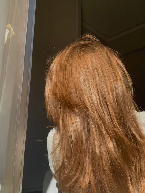 Faded Ginger Hair, Orangeish Brownish Hair, Strawberry Brown Hair, Orange Brown Hair, Bleached Ends, Fried Hair, Dyed Curly Hair, Hair Color Orange, Faded Hair