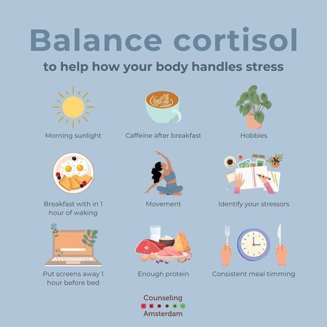 But Health, Regulate Cortisol Levels, Balance Cortisol Levels, How To Balance Cortisol Levels, Getting Healthier, Cortisol Foods, Lowering Cortisol Levels, How To Lower Cortisol Levels, Wasp Trap Diy