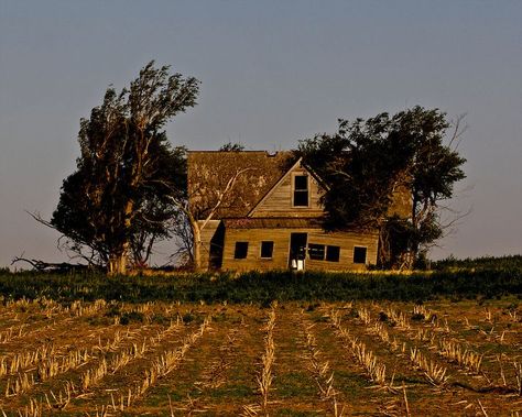 Old Farm Buildings, Abandoned Home Aesthetic, Apocalypse Farm, Dreamlike Illustration, Abandoned Field, Corn Aesthetic, Kansas Farmhouse, Old Farmhouse Aesthetic, Western Horror