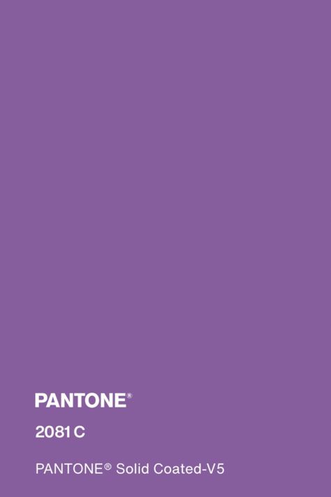 #pantone #purple #color #pantone2081c Sophia Color, Midsummers Night, Purple Shades, Purple Colour, Midsummer Nights Dream, Medium Purple, Pastel Purple, Purple Aesthetic, Shades Of Purple