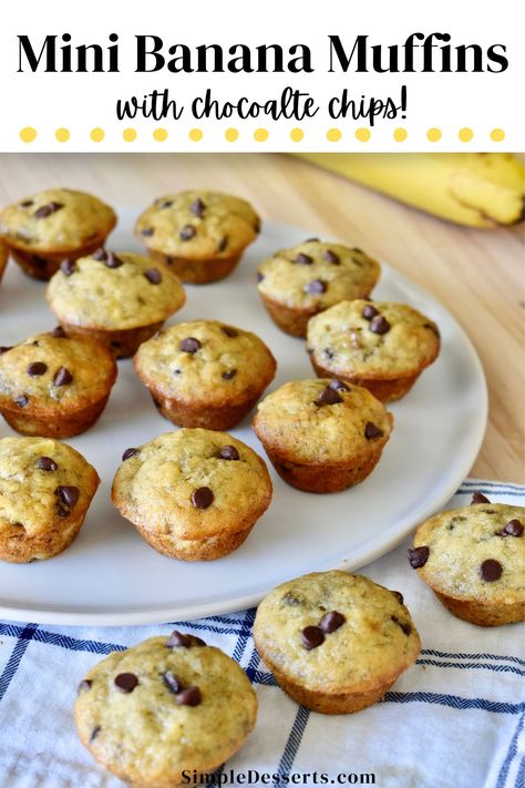 Mini Banana Chocolate Chip Muffins for are a fun and delicious treat! Bursting with the sweet goodness of ripe bananas and a hint of vanilla, these bite-sized treats are the perfect way to use up those overripe bananas sitting on your counter. Banana Chocolate Chip Muffins Easy, Mini Banana Chocolate Chip Muffins, Banana Chocolate Chip Mini Muffins, Muffins Easy Recipe, Cinnamon Chip Muffins, Banana Choc Chip Muffins, Chocolate Chip Muffins Easy, Mini Muffin Recipe, Mini Banana Muffins