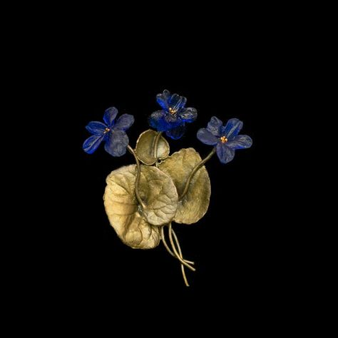 Wild Violet – Michael Michaud US Common Blue Violet, Michael Michaud, Copper Highlights, Nature Artists, American Craftsman, Delicate Flowers, Month Flowers, Birth Month Flowers, Star Jewelry