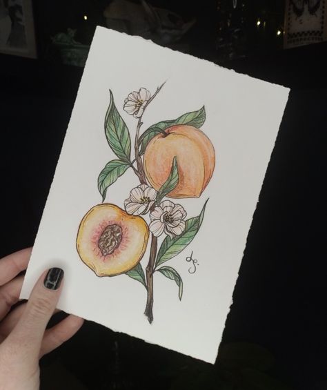 Peach Plant Tattoo, Peach Tree Tattoo Branches, Peaches Tattoo Ideas, Cute Peach Tattoo, Peach Branch Tattoo, Peach Pit Tattoo, Peach Tattoo Design, Apricot Tattoo, Peach Tree Tattoo