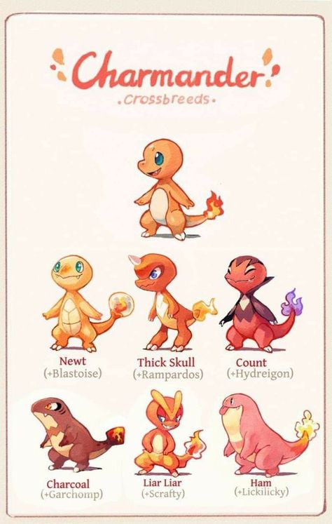 Pokemon Design Ideas, Pokemon Crossbreeds, Pokemon Dungeon, Pokemon Variants, Pokemon Mix, Pokemon Variations, Pokemon Fusion Art, Mega Pokemon, Pokemon Breeds