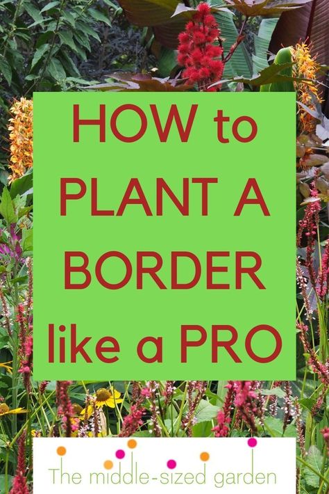 Design tips and practical advice to help you plant a border brilliantly. How to position shrubs and flowers in the best places, plus essential tips. Small Border Planting Ideas, Long Garden Border Ideas, Mixed Border Garden, Garden Border Design Plans, Planting Plans For Borders, Garden Border Planting Plan, Garden Raised Borders, Garden Boarder Planting Ideas, Garden Flower Borders