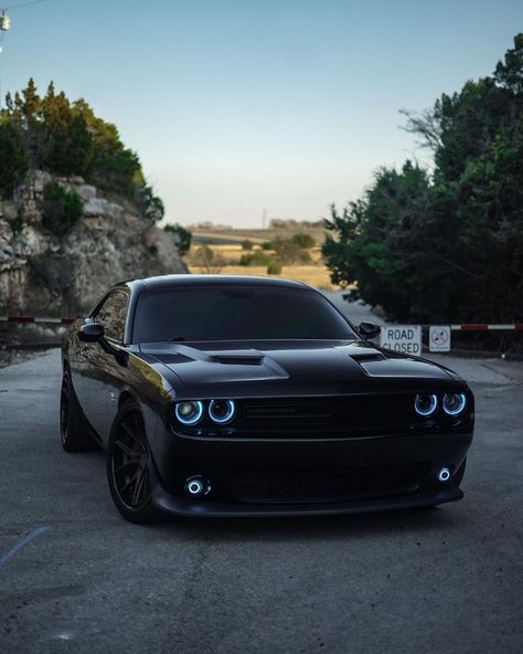 American Muscle Cars Dodge, Dodge Challenger Hellcat, Dodge Muscle Cars, Hellcat Challenger, Dodge Challenger Srt, Mopar Muscle, American Muscle Cars, My Dream Car, Dodge Challenger