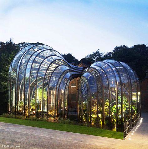 Conservatory Design, Thomas Heatherwick, Bombay Sapphire, Greenhouse Interiors, Home Greenhouse, Fantasy Homes, Green Architecture, Nature Conservation, Global Design