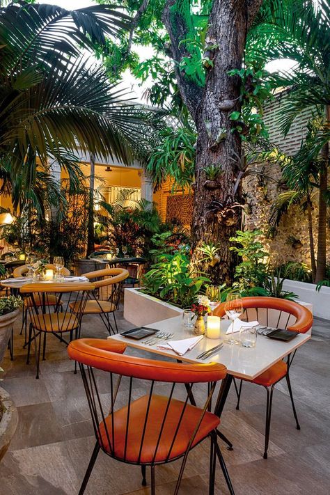 Hotel Cafeteria, Backyard Restaurant, Bistro Decor, Cafe Exterior, Modern Restaurant Design, Outdoor Restaurant Design, Cafe Shop Design, Garden Cafe, Modern Restaurant