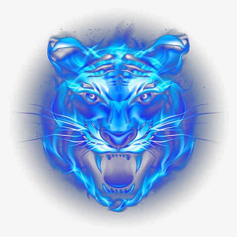 Head Picture, Creative Logo Design Art, Fire Lion, Tiger Wallpaper, Tiger Pictures, Army Girlfriend Pictures, Big Cats Art, Blue Skulls, Blue Tiger