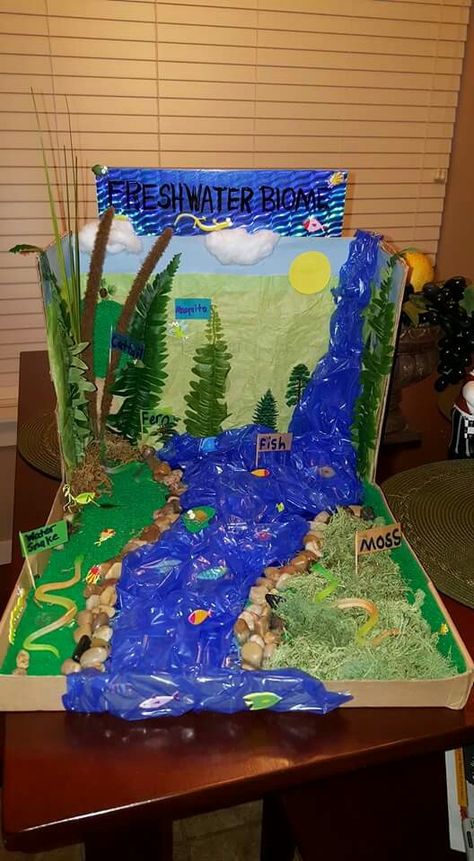 Our 3rd Grade Biome (Freshwater) Shoebox Project for school. I think it turned out pretty ok!!  ☺ Freshwater Biome Shoebox Project, Freshwater Ecosystem Project, Fresh Water Biome Project Ideas, Freshwater Biome Project, Freshwater Diorama, Biome Project Ideas, Ancient Egypt Crafts Projects, Wetland Biome, Ecosystems Diorama