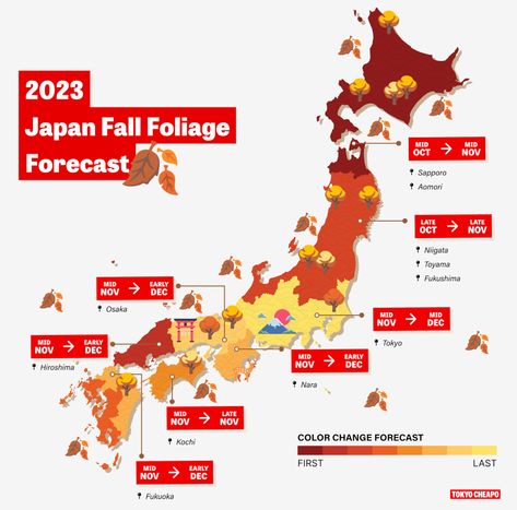 Japan Autumn Leaves: 12 Top Spots & How to Get There | Japan Cheapo Nakasendo Trail, Autumn Leaves Japan, Ghibli Park, Japan Autumn, Kamakura Period, Japan Destinations, Rowan Tree, Cherry Blossom Season, Booklet Design